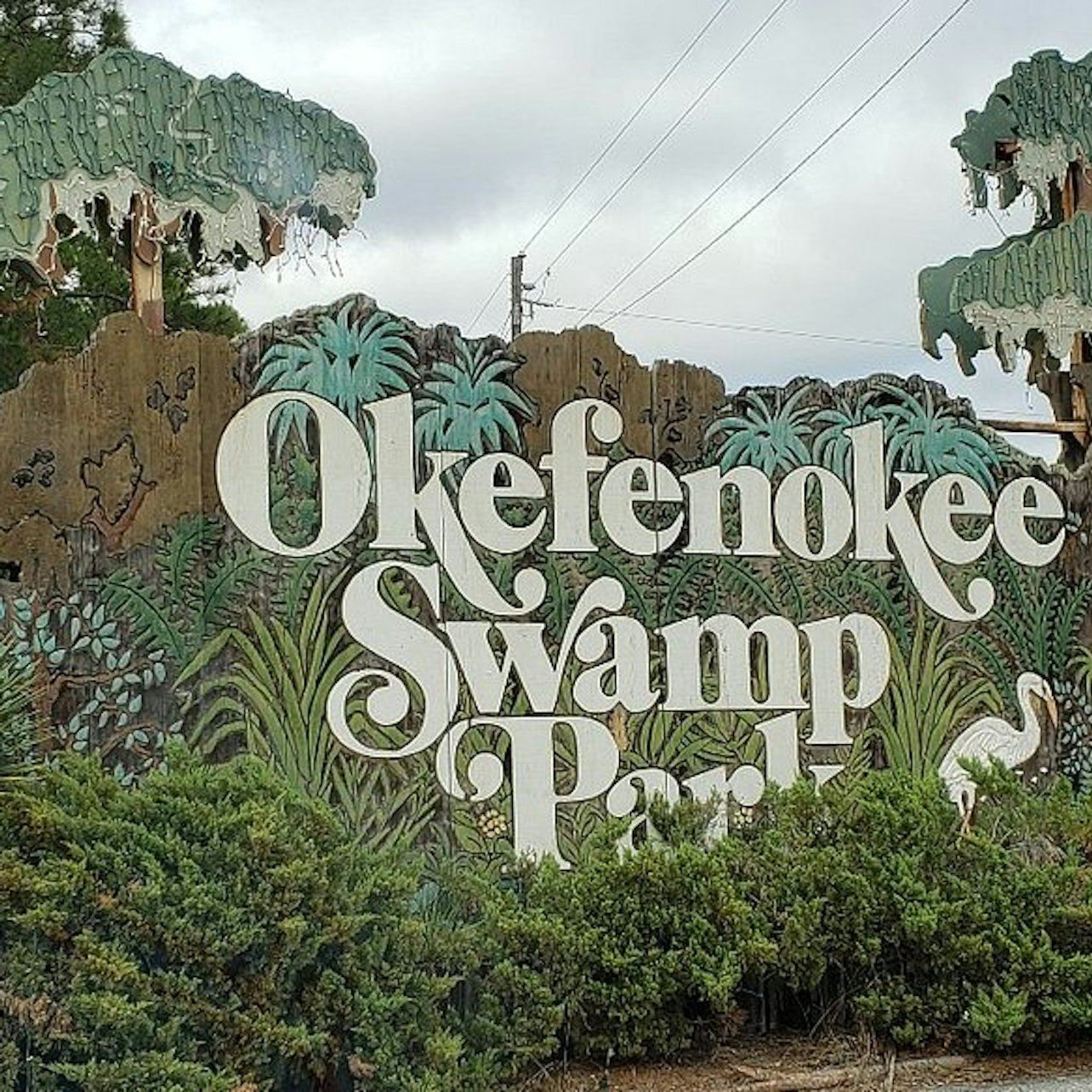 Okefenokee Swamp Park Guided Tour - Photo 1 of 11